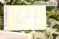 09buck-1396 proof