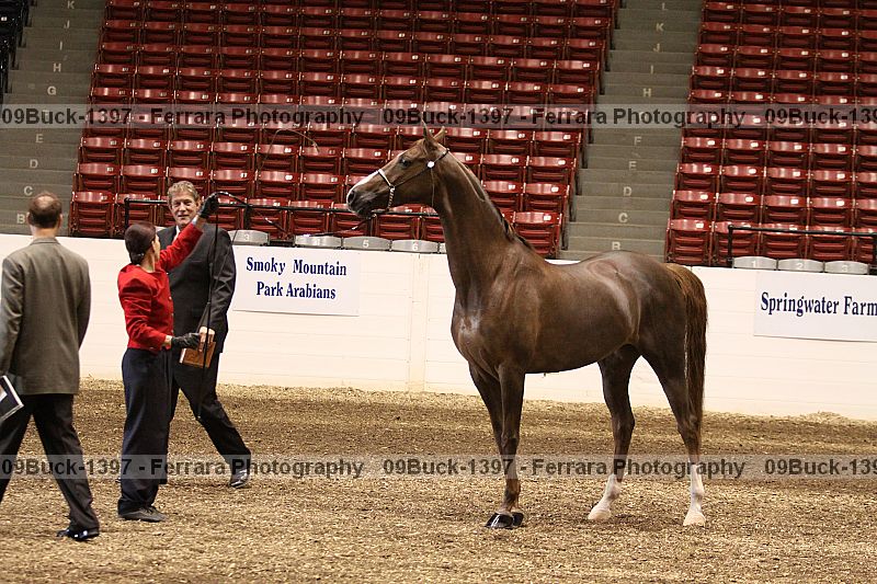 Proof 09buck-1397