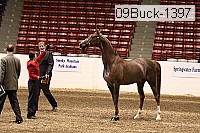 09buck-1397 proof