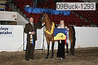 09buck-1293 proof