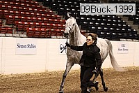 09buck-1399 proof