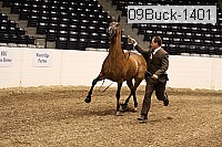 09buck-1401 proof