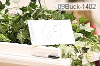 09buck-1402 proof