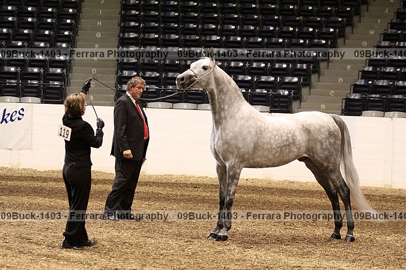 Proof 09buck-1403