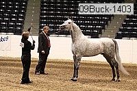 09buck-1403 proof