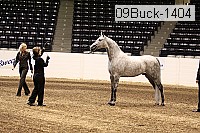09buck-1404 proof