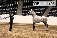 09buck-1405 proof