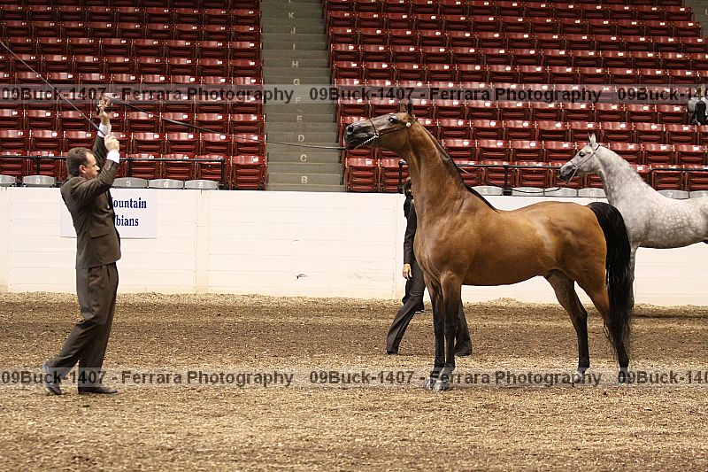 Proof 09buck-1407