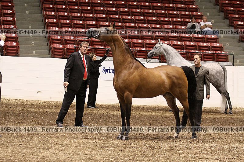Proof 09buck-1409
