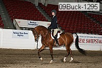 09buck-1295 proof