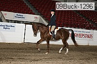 09buck-1296 proof