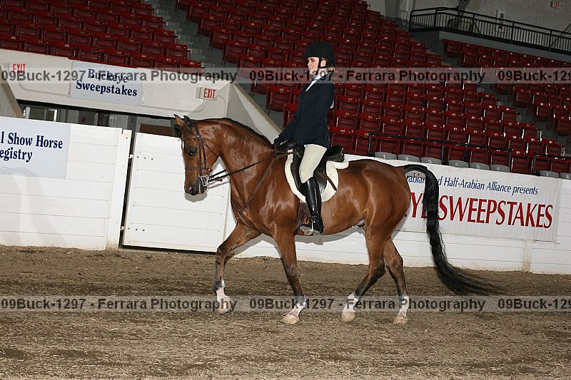 Proof 09buck-1297