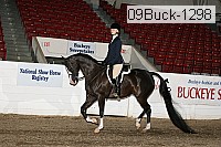 09buck-1298 proof