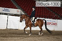 09buck-1300 proof