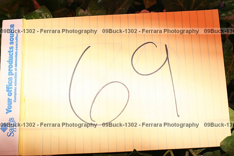 Proof 09buck-1302