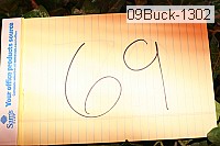 09buck-1302 proof