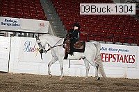 09buck-1304 proof