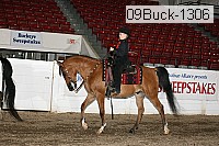 09buck-1306 proof