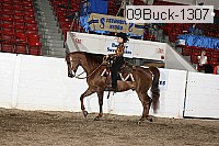 09buck-1307 proof