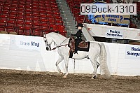 09buck-1310 proof