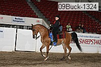 09buck-1324 proof