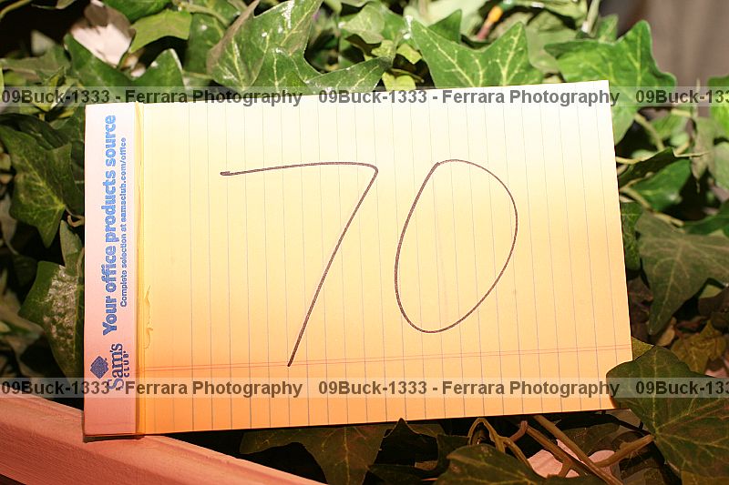Proof 09buck-1333