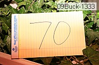 09buck-1333 proof