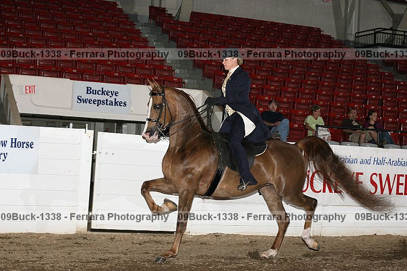 Proof 09buck-1338