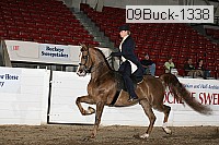 09buck-1338 proof