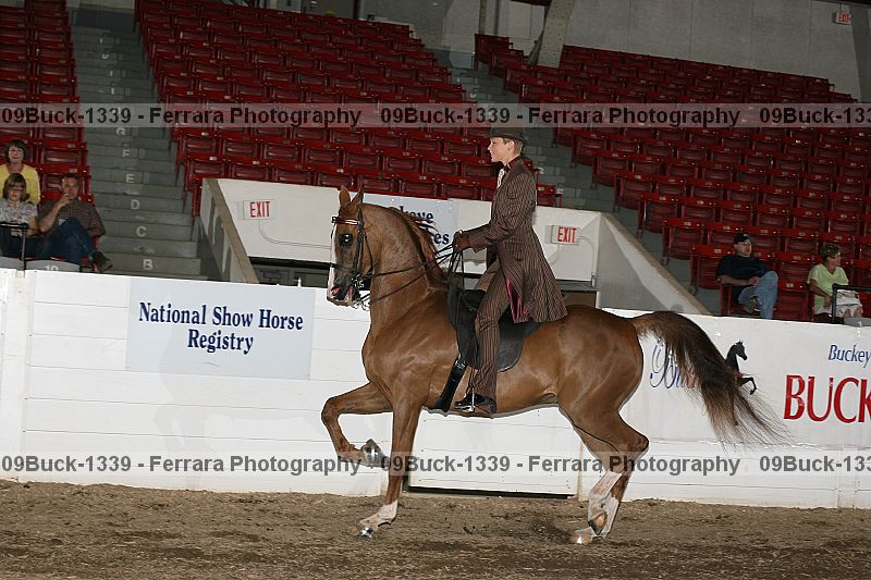 Proof 09buck-1339