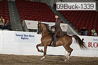 09buck-1339 proof