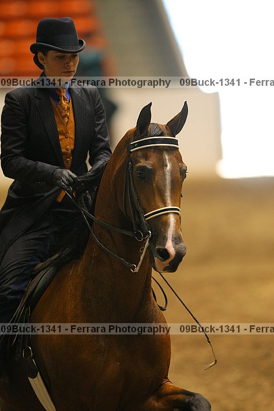 Proof 09buck-1341