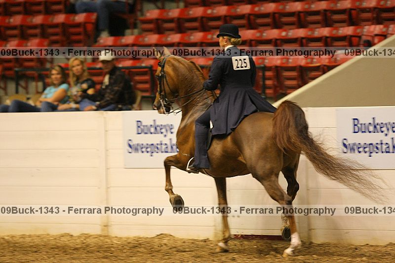 Proof 09buck-1343