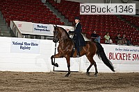 09buck-1346 proof