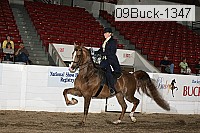 09buck-1347 proof