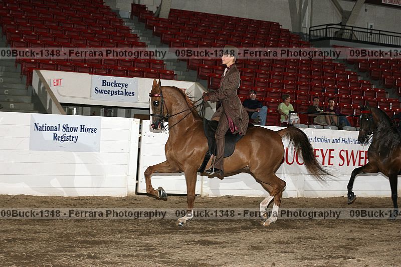 Proof 09buck-1348