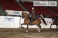 09buck-1348 proof