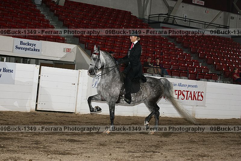 Proof 09buck-1349