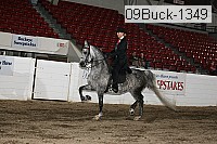 09buck-1349 proof