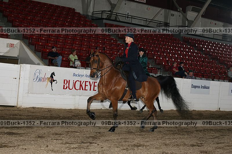 Proof 09buck-1352