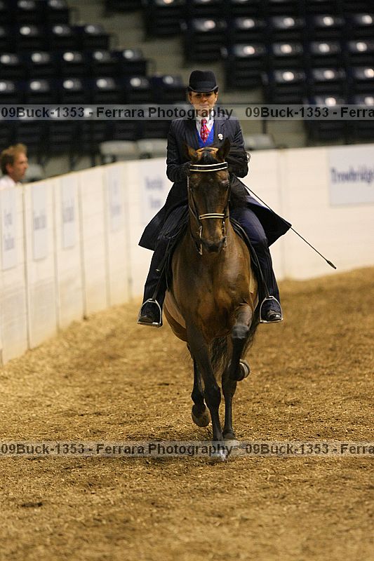 Proof 09buck-1353