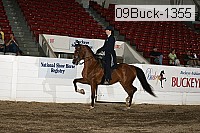 09buck-1355 proof