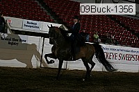 09buck-1356 proof