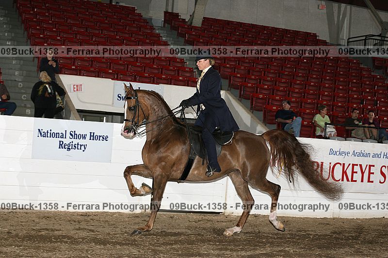 Proof 09buck-1358