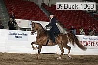09buck-1358 proof