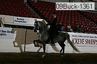 09buck-1361 proof