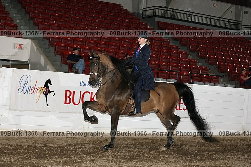 Proof 09buck-1366
