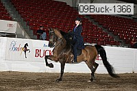 09buck-1366 proof