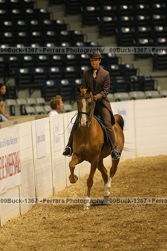 Proof 09buck-1367