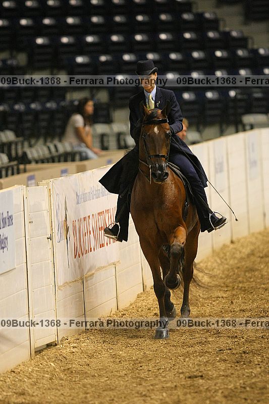 Proof 09buck-1368